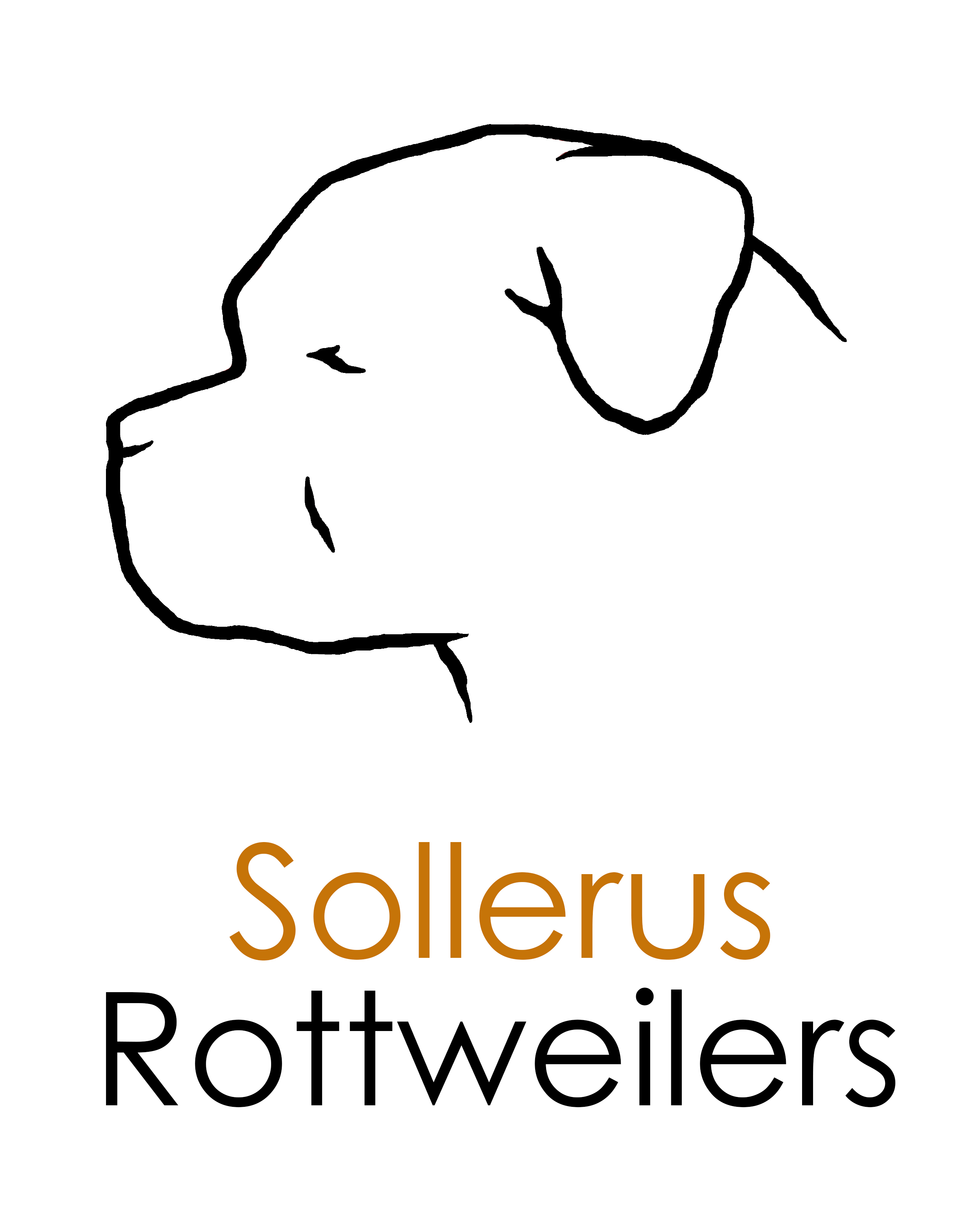 www.sollerus.com, Sollerus Rottweilers, Rottweiler Breeder, Rottweiler Adelaide, Rottweiler South Australia